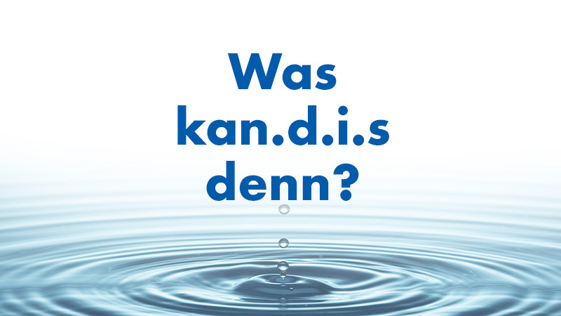 kandis_was-kandis-denn-3